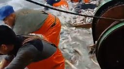 Tensión en altamar: pescadores lucharon contra el hundimiento de su barco