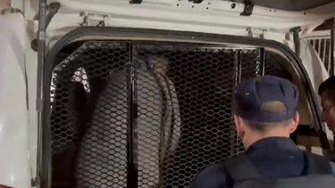 Imagen del exsenador Gustavo Penadés trasladado al Juzgado de Florida.