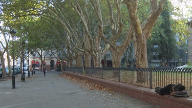 Plan Invierno Mides 2024.