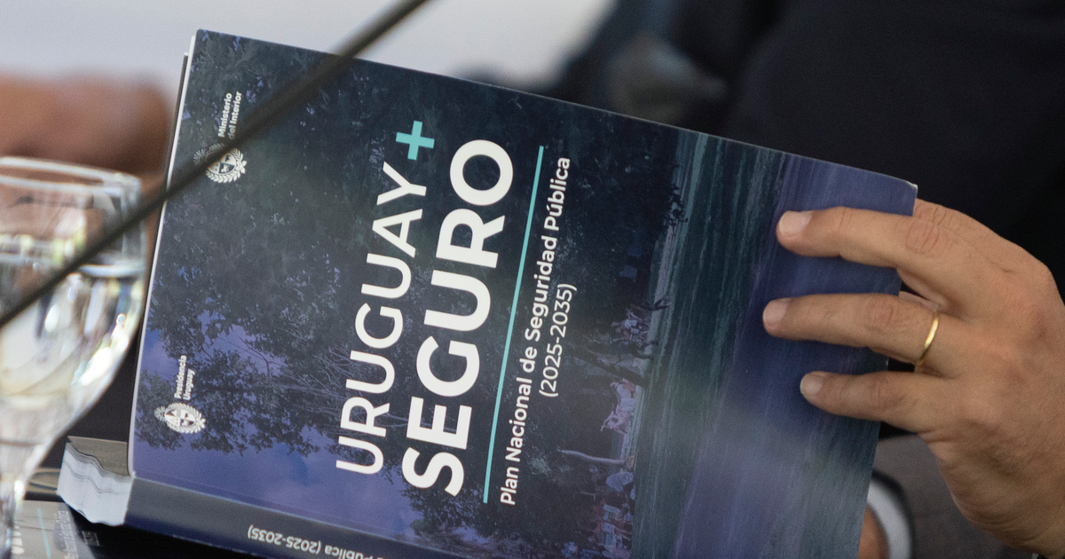 La oposición criticó el Plan Nacional de Seguridad: 