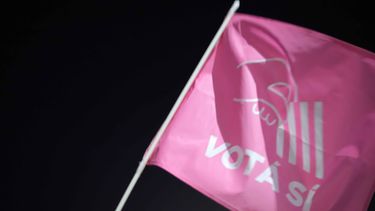 Manifestantes por el SÍ realizaron caravana por la rambla