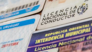 Proponen habilitar licencia de conducir a menores de 17 años