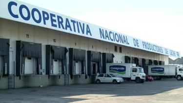 Ministerio de Trabajo sigue negociando en el conflicto de Conaprole y el jueves habrá una reunión clave