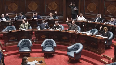 Cámara de Senadores votó por unanimidad desafuero de Penadés.