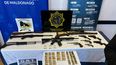 Operación Rout-12 II: recuperaron 43 armas de fuego y formalizaron a un hombre de 25 años