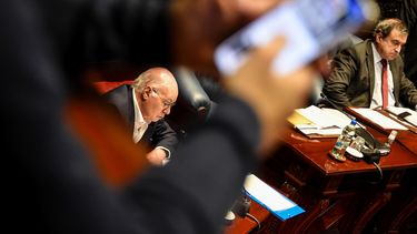 La comisión de Constitución y Legislación del Senado aprobó el proyecto de ley de “Corresponsabilidad en la Crianza”.&nbsp;