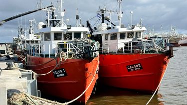 El conflicto en la pesca se mantiene pero la máquina se pone en funcionamiento