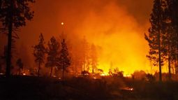 Confirman muerte de dos niños por incendios en California