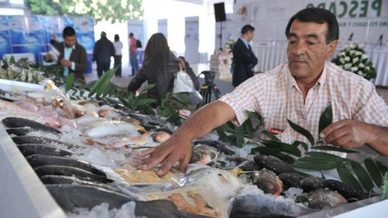 Abasto de pescado más grande de América, hierve esta semana