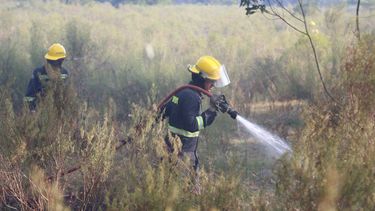 Bomberos realizó un récord de intervenciones en 24 horas de servicio