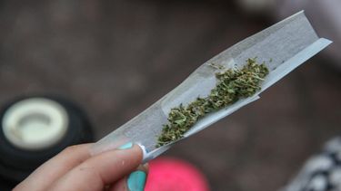 Diputado propuso ponerle IVA a la marihuana estatal