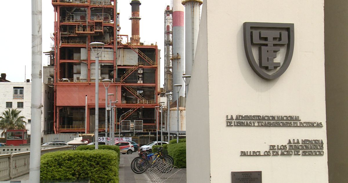 UTE abrió llamado a pasantías con sueldo de $48.000: hay 47 cupos disponibles
