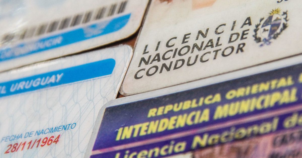 Última Prórroga Para Renovar Licencias De Conducir Vencidas