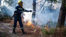 Para prevenir y combatir incendios, Bomberos incorpora 150 funcionarios zafrales