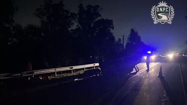 Camioneta embistió a un caballo, despistó y volcó; dos niños resultaron con heridas leves y el animal murió