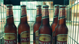 Sindicato de Pilsen.