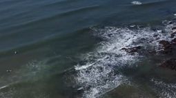 Punta del Este: continúa, sin éxito, la búsqueda del joven argentino Franco Toro