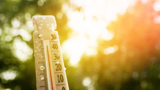 Viernes según Inumet.&nbsp;