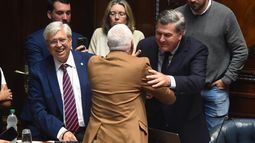 Interpelación a Carlos Negro: Los mismos errores que en el pasado y la seguridad como causa nacional
