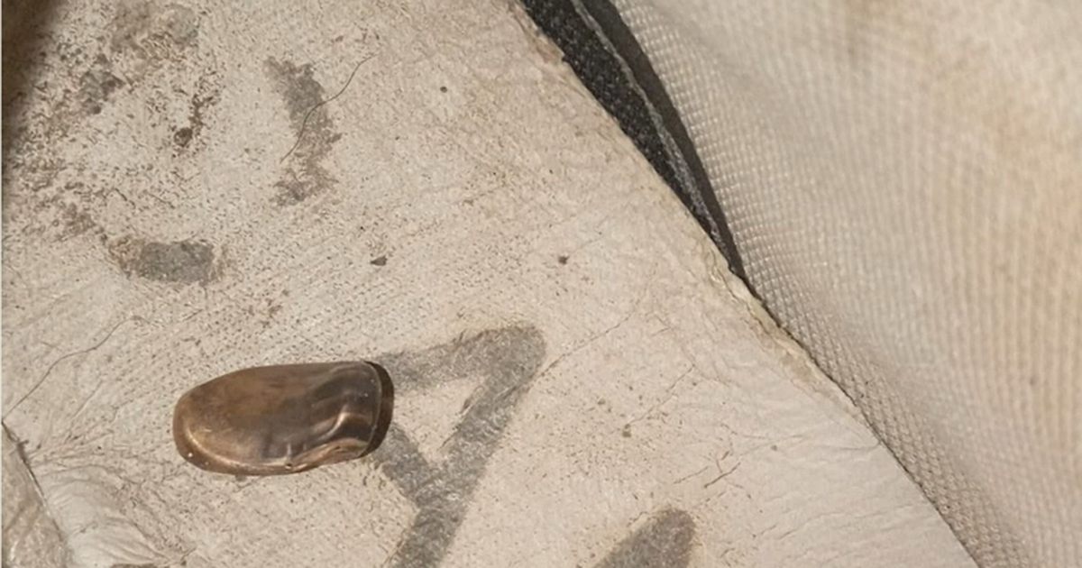 Balaceras en el barrio Los Sueños: un proyectil rompió un techo liviano y cayó en el champión de una niña