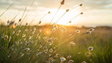 Martes según Inumet.