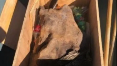 Prefectura argentina logró detener al principal investigado por el meteorito hallado en abril.