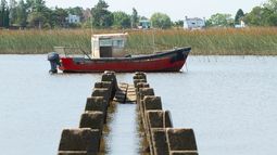 Pesca en invierno: el disfrute de los más pacientes para pasar un rato de calma