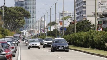 Director de Movilidad de Maldonado pide tomar conciencia en el tránsito para seguir estando vivos