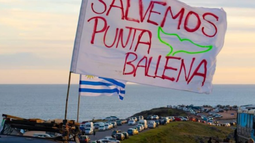 Vecinos de Maldonado alcanzaron firmas para declarar a Punta Ballena área de conservación o reserva natural