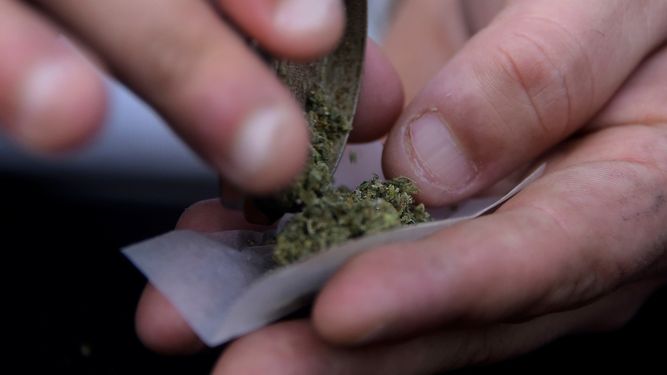 Informe de la SND destaca la drástica caída del narcotráfico clásico a partir de la regulación del cannabis