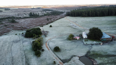Heladas en Lavalleja.