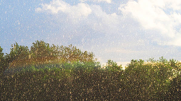 Jueves según Inumet.