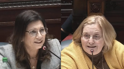 Bianchi acusó a Blanca Rodríguez de tener aire de superioridad y generó cruces en el Senado