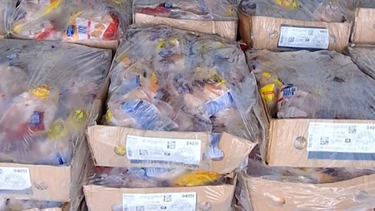 Incautaron en Cerro Largo más de 3.500 kilos de pollo de contrabando y sin cuidados sanitarios
