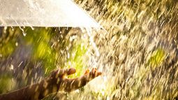 Alerta amarilla de Inumet.&nbsp;