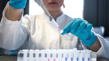 Uruguay cuenta con el único laboratorio de fagoterapia autorizado en América Latina