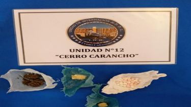 Dos mujeres formalizadas por intentar ingresar droga en cárceles