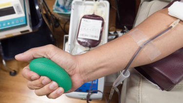 donacion de sangre en uruguay: entre 15 y 18% se deriva a transfusiones por siniestros de transito