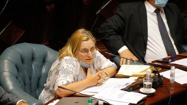 El Senado aprobó limitar el derecho de reunión