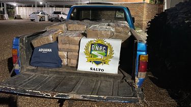 Avícolas expresaron preocupación por casos de contrabando de carne aviar: Se desconoce su origen