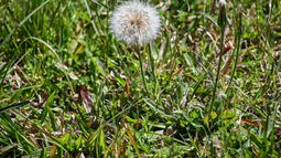 Martes según Inumet.&nbsp;