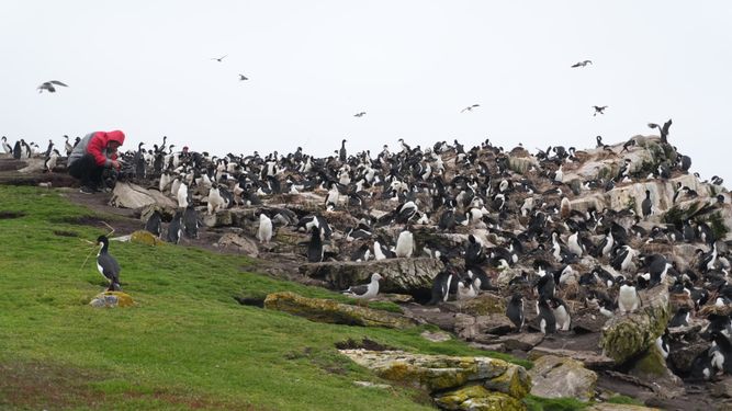 Dos personas, una isla y el Sur del Sur: así es vivir en el campo de las Islas Malvinas
