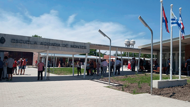 Docente denunciado por abuso sexual se equivocó pero habrá medidas dijo director general de UTU | Presidencia