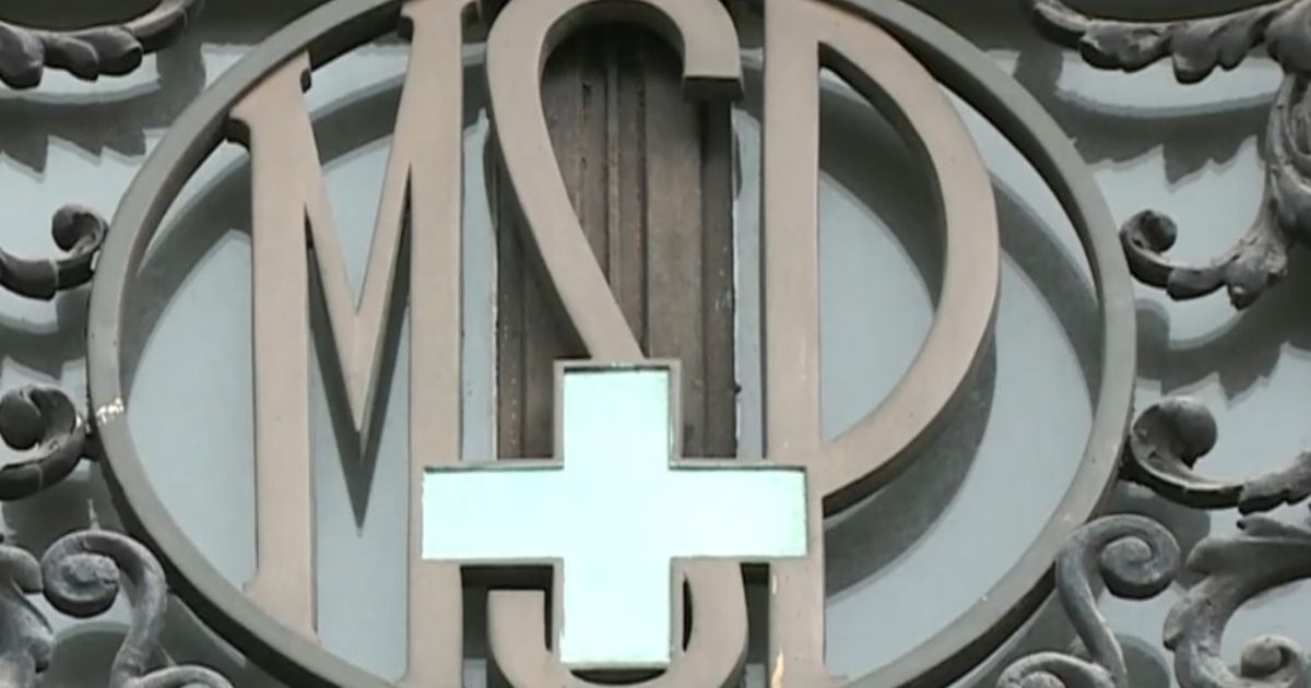 Murió un hombre por leptospirosis en Montevideo; en lo que va del 2026 se registraron 10 casos de la enfermedad