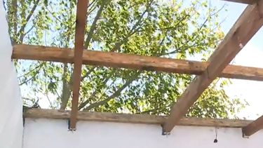 Una familia perdió techo de su vivienda tras temporal en Cuchilla Verde: Quedó en el campo del vecino