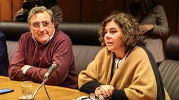 Estrategias y coordinación en la campaña electoral: plebiscitos y posicionamientos