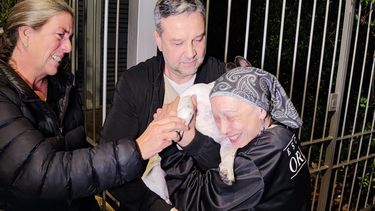 Recuperaron a Darko y volvió con su dueña; se lo habían robado violentamente en el Parque Rodó Recuperaron a Darko y volvió con su dueña; se lo habían robado violentamente en el Parque Rodó