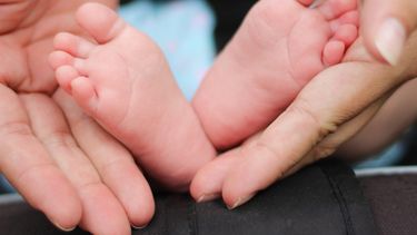 Mortalidad neonatal en el Pereira Rossell en 2021 fue la más baja en cuatro años, según informó ASSE