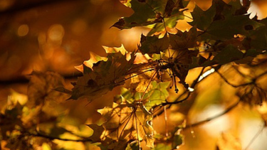 Jueves según Inumet.