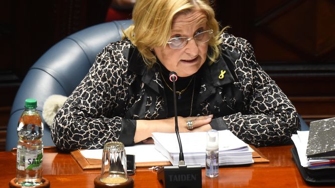 El PN analizó el proyecto de Universidad de la Educación: La preocupación es el poder, dijo Graciela Bianchi